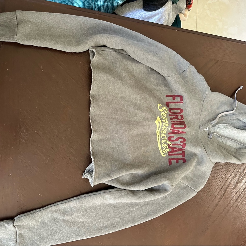 Gray Florida State Seminoles Men's Hoodie